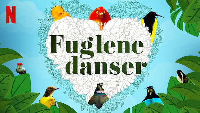 Fuglene danser